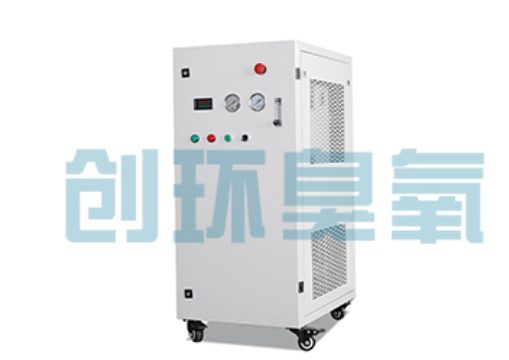 固安石斑鱼养殖水质调控完整指南：臭氧发生器配置与操作步骤