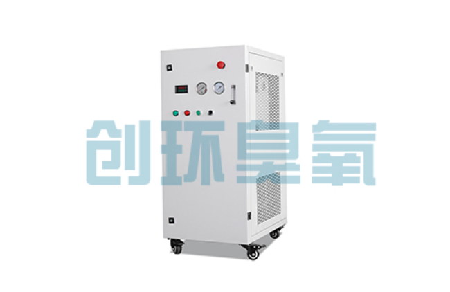 固安比传统换水更高效？臭氧发生器在石斑鱼养殖中的水质净化原理解析